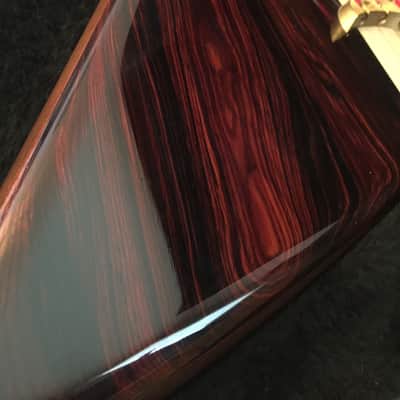 Alembic Exploiter Custom Coco Bolo 5-string bass image 6