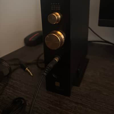 HiFiMan Arya Stealth + HiFiMan EF499 R2R DAC/Amp + Custom Cable (Bundle - Mint Condition) image 6