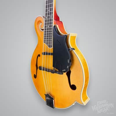 Epiphone MM-50E Professional Mandolin 2010s - Vintage Natural Bild 3