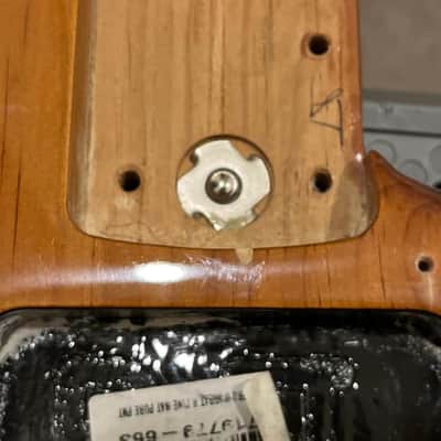 Fender American Professional II Stratocaster BODY Pro II Strat Roasted Pine image 10