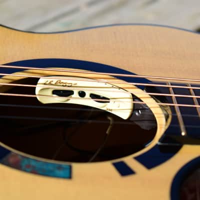 2018 TreeHouse OMZ Cutaway Acoustic Guitar | Cocobolo & Adirondack Spruce image 14