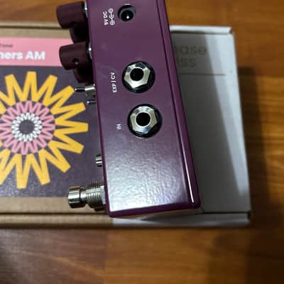 Chase Bliss Audio Brothers AM 2025 - Present - Various image 3
