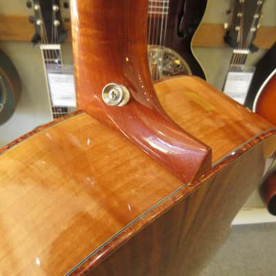 Morgan Concert Custom 2008 image 14