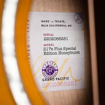 Taylor 217e Plus Special Edition Honeyburst w/ Torrefied Spruce Top & Big Leaf Maple Back and Sides Acoustic/ Electric- Honey Sunburst 2026 (2202066281) image 14