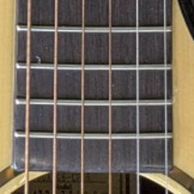 Recording King RGA-G6CFE5 Solid Top Grand Auditorium Acou/Elec Cutaway Guitar image 4