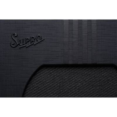 Supro Delta King 12 Combo Amp (15-Watt - 1 x 12" - Black) image 6