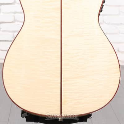 Cordoba Fusion 12 Exotic Top Nylon-string Acoustic-electric Guitar - White Sands (Fus12ExWSd1) image 4