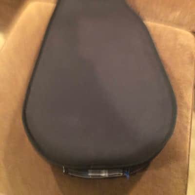 Road Runner Polyfoam Classical Guitar Case image 4