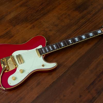 🇯🇵 1993 Fender Terry-1 Anniversary, Custom Edition, All Original, MIJ, Japan image 2