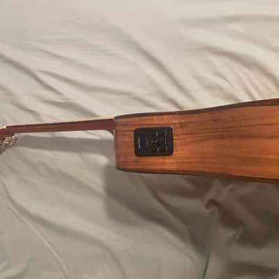 Washburn Acoustic-Electric Guitar image 3