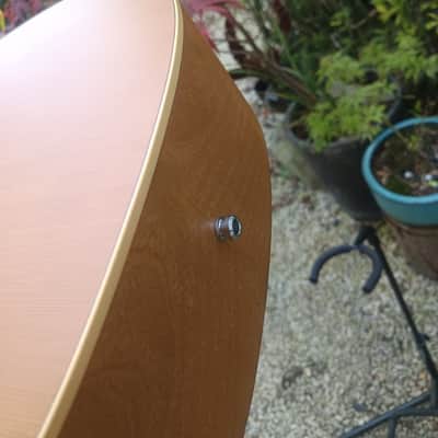 Art & lutherie Cedar 2006 image 12