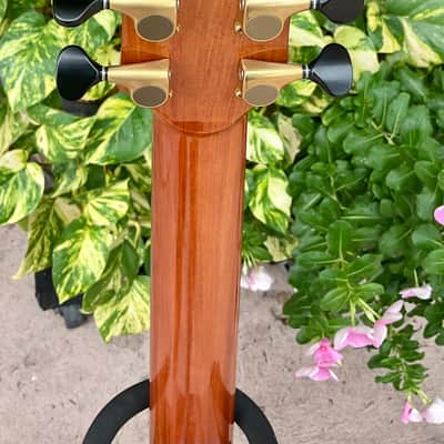Williams Kiwi 2005 - Taraire/Kauri Acoustic Guitar w/ Original Case -Very Rare! image 10