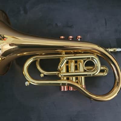 Carol Brass Compact Flugelhorn / Taylor Phat Puppy 2023 - Polished / Lacquered image 12