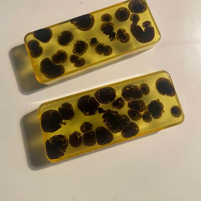 Tortoise P90 pickup cover Set #1 image 1