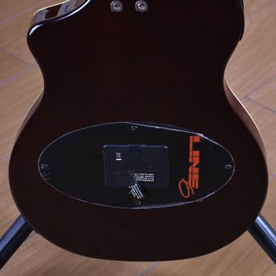 Line 6 Variax Acoustic 300 Series image 14