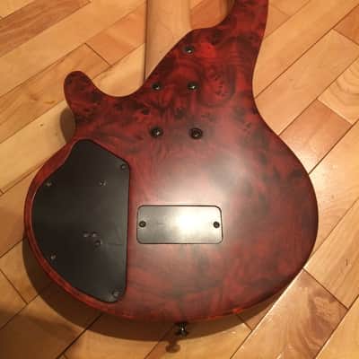 Cort Curbow 5 String Fretless Bass Guitar image 4