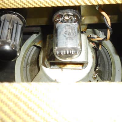 Fender Champ 5F1 1956- Tweed image 7