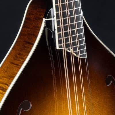 Collings MT2 Mandola Sunburst Adirondack Spruce and Flamed Maple NEW image 6