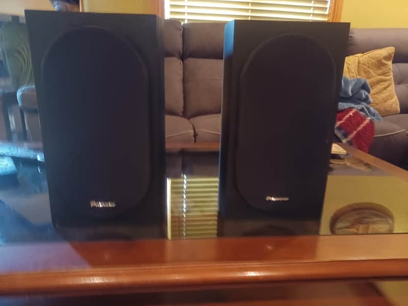 Pioneer SP-BS22-LP 2019 - Black Wood Grain Vinyl image 1