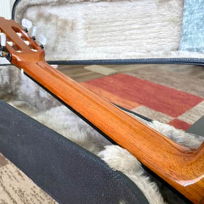 Manuel Contreras 2A Classical Guitar, See VIDEO, Cedar Top, ex. Tavi Jinariu image 9
