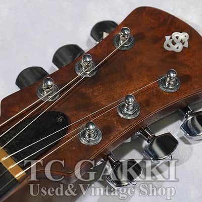 Spector USA G 1 image 7