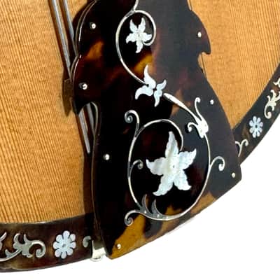Umberto Ceccherini Mandola / Octave Mandolin (Giovanni Palladino Label) 1896 image 8