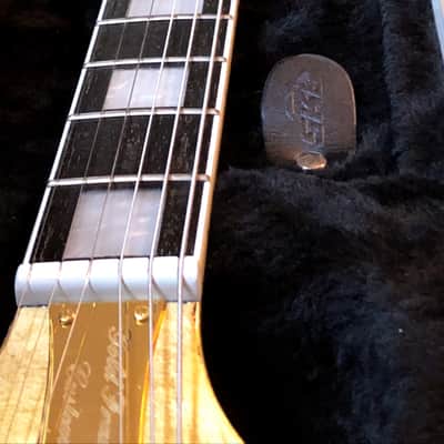 24k Gold Semi hollow electric guitar image 17