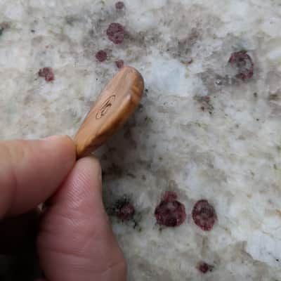 Mortillaro Olive branch 2026 - Shellac image 3