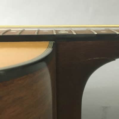 Vintage Fender Dreadnought Acoustic Guitar Spruce Top 1990s Natural Satin Players Campfire Guitar image 18