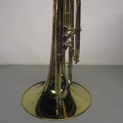 Moz Mellophone with Case image 9
