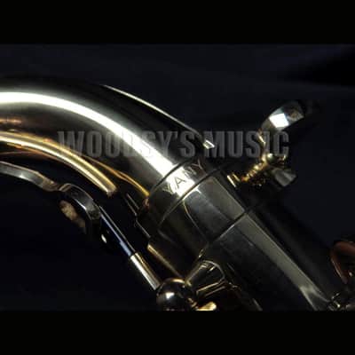 Yanagisawa AWO10 Elite Model Alto Saxophone - Lacquered Brass image 8