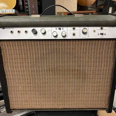 Estey Magnatone Bradford B-EST 1966 Tube Amplifier 12” Speaker Vibrato image 1