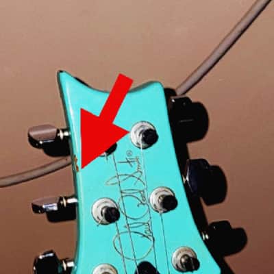 PRS S2 VELA 1 OF 1 - CUSTOM ORDER ! BIRD INLAYS ,SEA FOAM GREEN -PLEK'D image 8