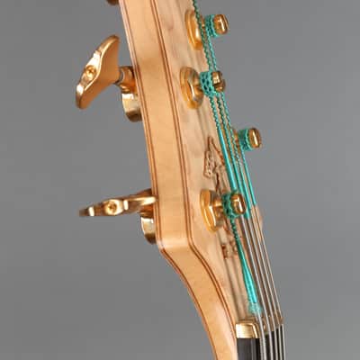 Alembic Series  II Five String Fretless Active Bass image 11