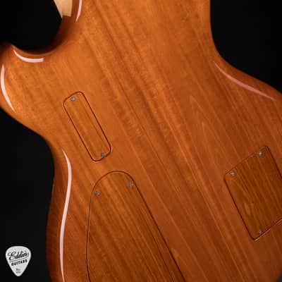 Alembic Skylark - Zebrawood image 13