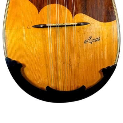 G. Kasermann Concert Mandolin (Apus Mark) 1920’s image 6