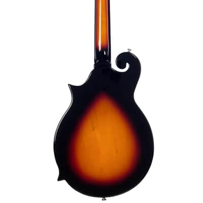 Eastwood MRG Series Tone Chambered Mahogany Maple Top Body Set Maple Neck 4-String Bass Guitar w/Gig Bag image 2