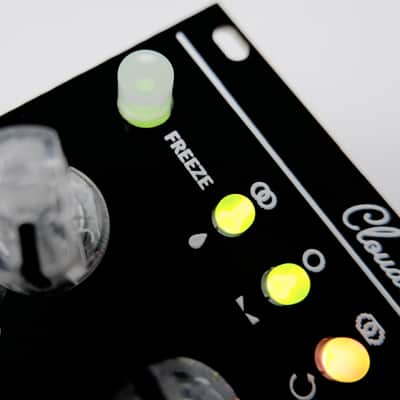 Mutable Instruments Clouds Clone - CCTV - Eurorack Module image 5