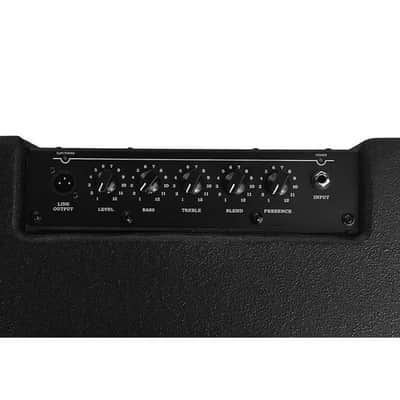 Ashen "Mighty500" 210 Custom Portable Bass Combo 500 Watts Vertical image 3