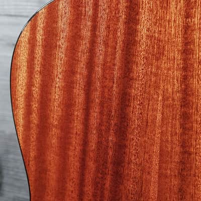 Eastman E100SS-DLX-SB Sunburst Solid Wood w/ Fishman Electronics image 16
