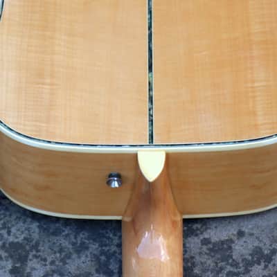 Rare Old Ventura MIJ All Maple (Matsumoku or Suzuki Factory) image 7