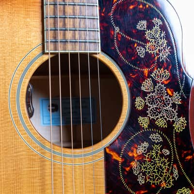 Epiphone USA Frontier, Frontier Burst | Demo image 14