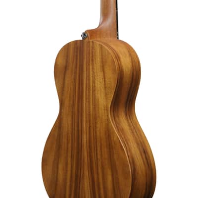 Ibanez PN2WS PN Acoustic Guitar - Open Pore Brown image 6