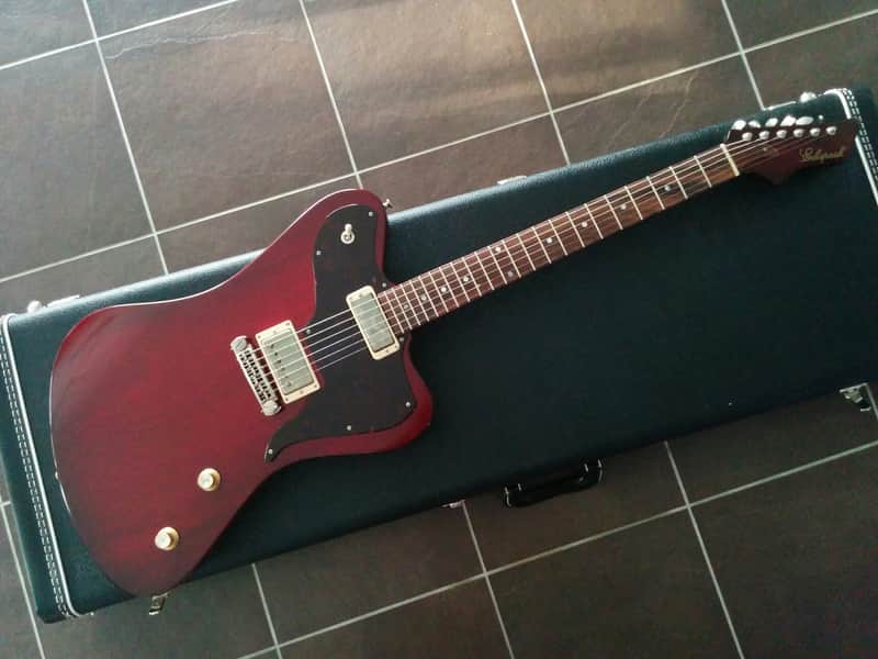 Echopark Ghetto Bird 2016 Case Study 2016 w/OHSC New Condition image 1