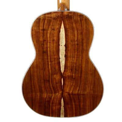 Antonio de Toledo "Ramirez" SP Elevated Fretboard image 4