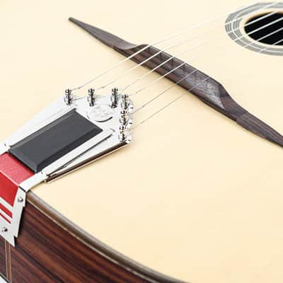 Eastman DM1 Natural Gypsy Guitar image 11