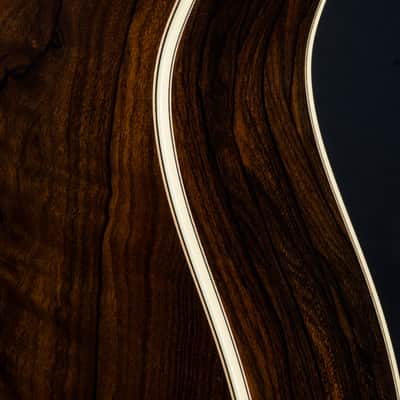 Bourgeois GAC-150 Ziricote And Italian Spruce Grand Auditorium Cutaway NEW image 19