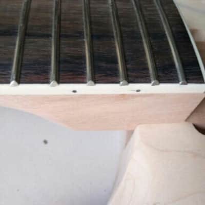 Paul Reed Smith Style Kit Clone/copy Custom 22 Semi Hollow 2016 Maple Top Raw Mahagony Back image 19