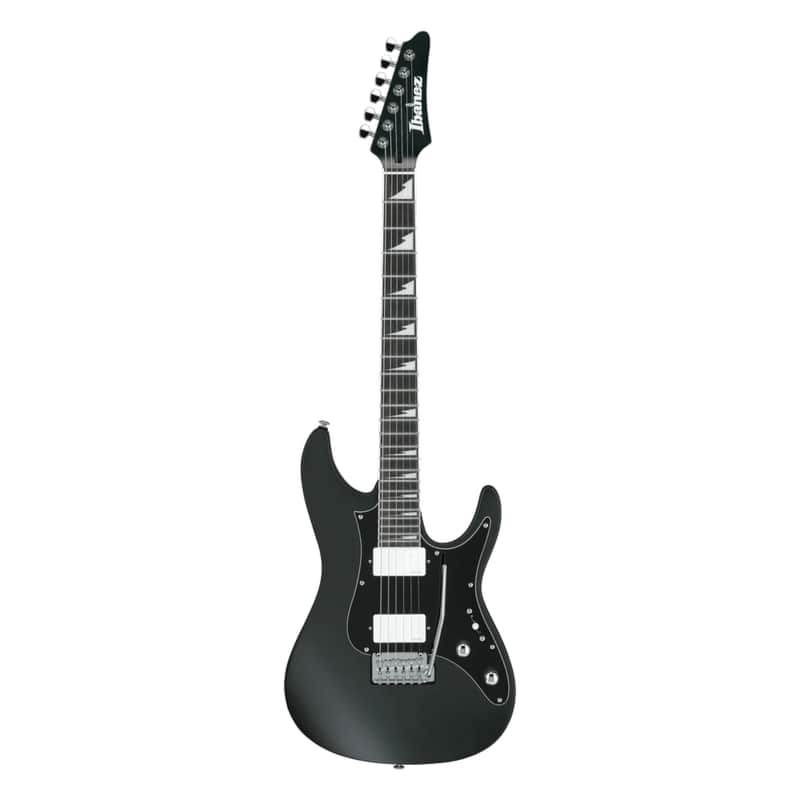 Ibanez BER10 Bernth Signature Premium image 1