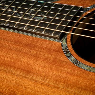 Taylor PS12ce 12-Fret - Honduran Rosewood/Sinker Redwood image 15